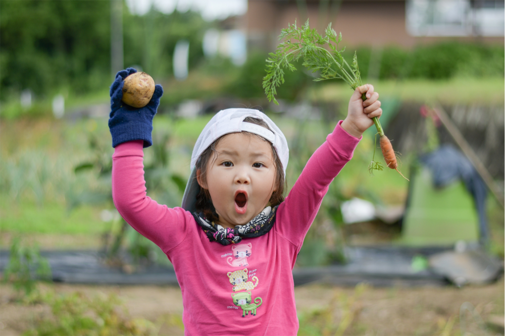 子どもと畑～作物の収穫（情操教育）～